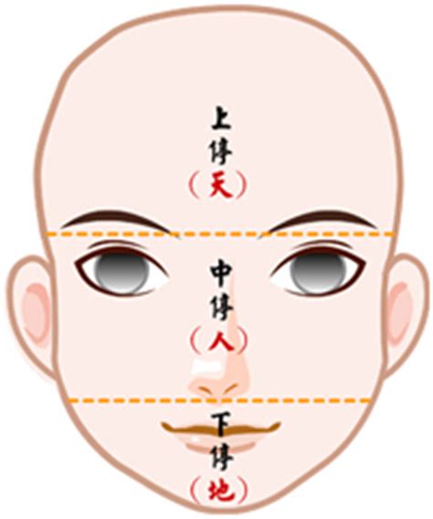 面相歲數|【面相館】流年法 (流年法的計算、通行流年法、流年。